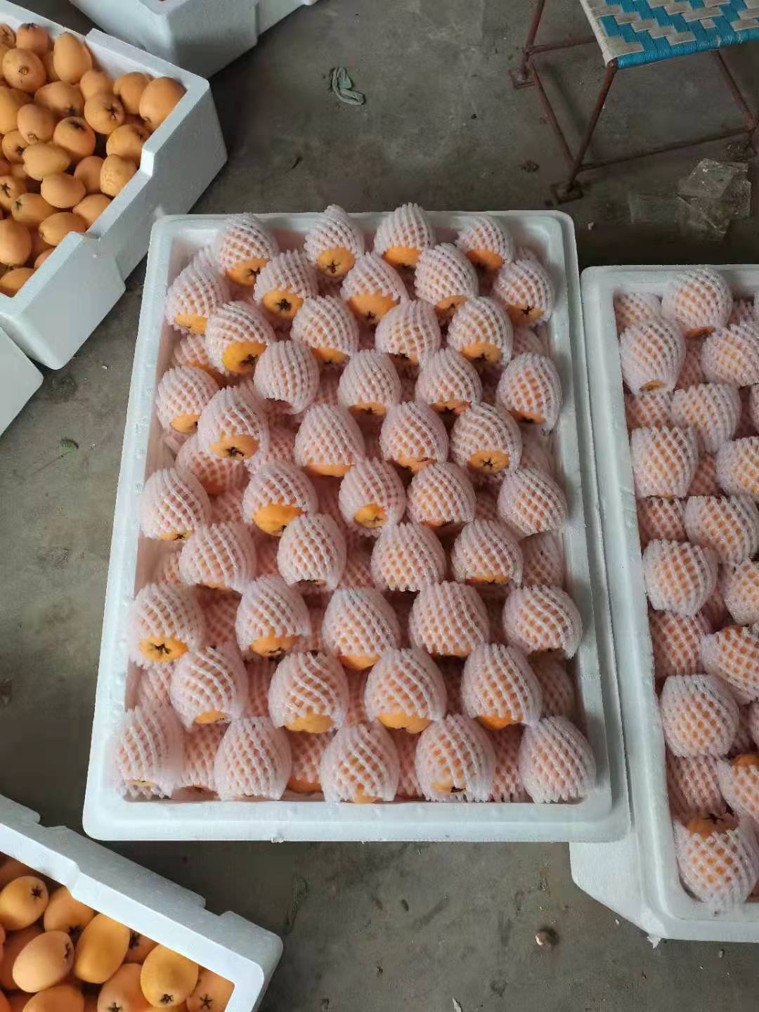 成都水果枇杷航空托运-成都机场空运物流公司