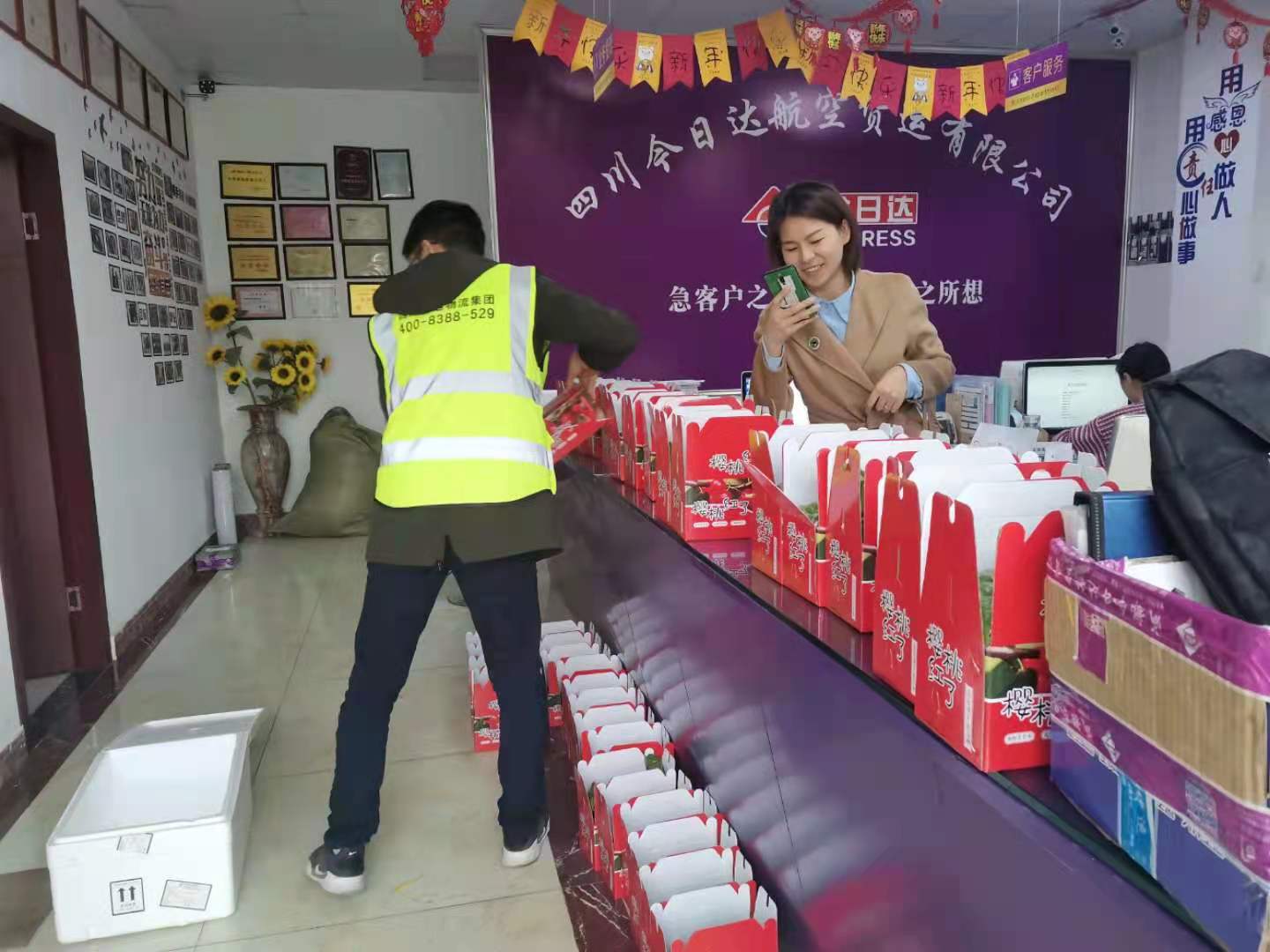 中华田园猫可以航空托运吗？-成都机场空运物流