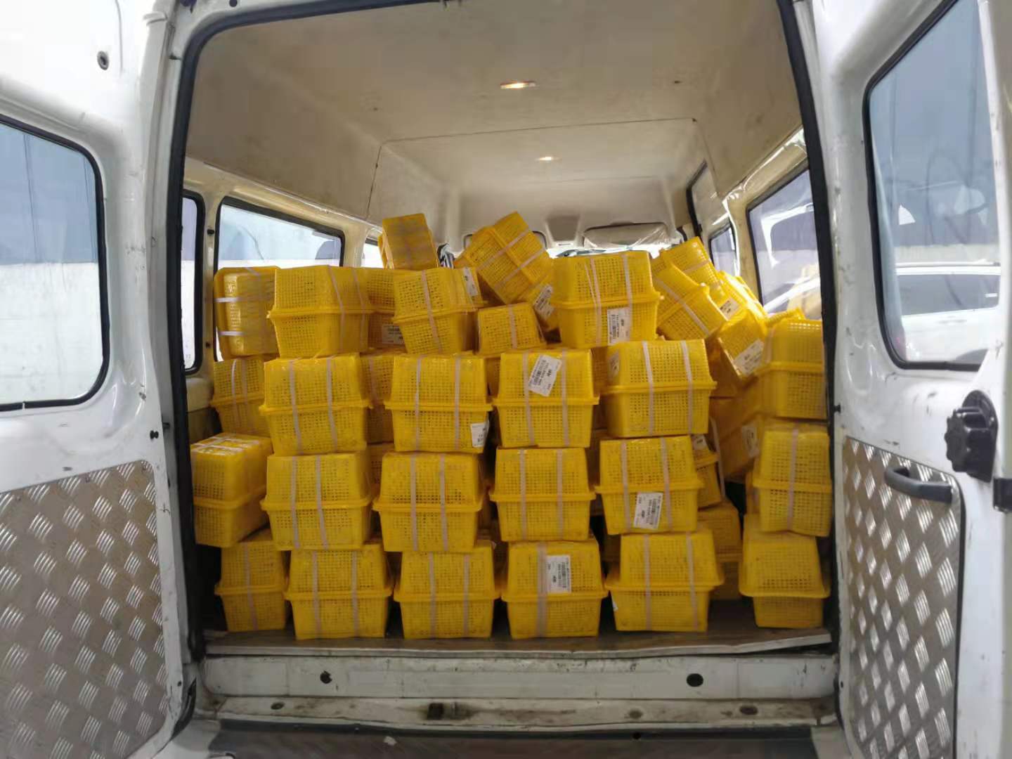 航空货运对于不同货物包装的具体要求是什么？-成都机场空运物流