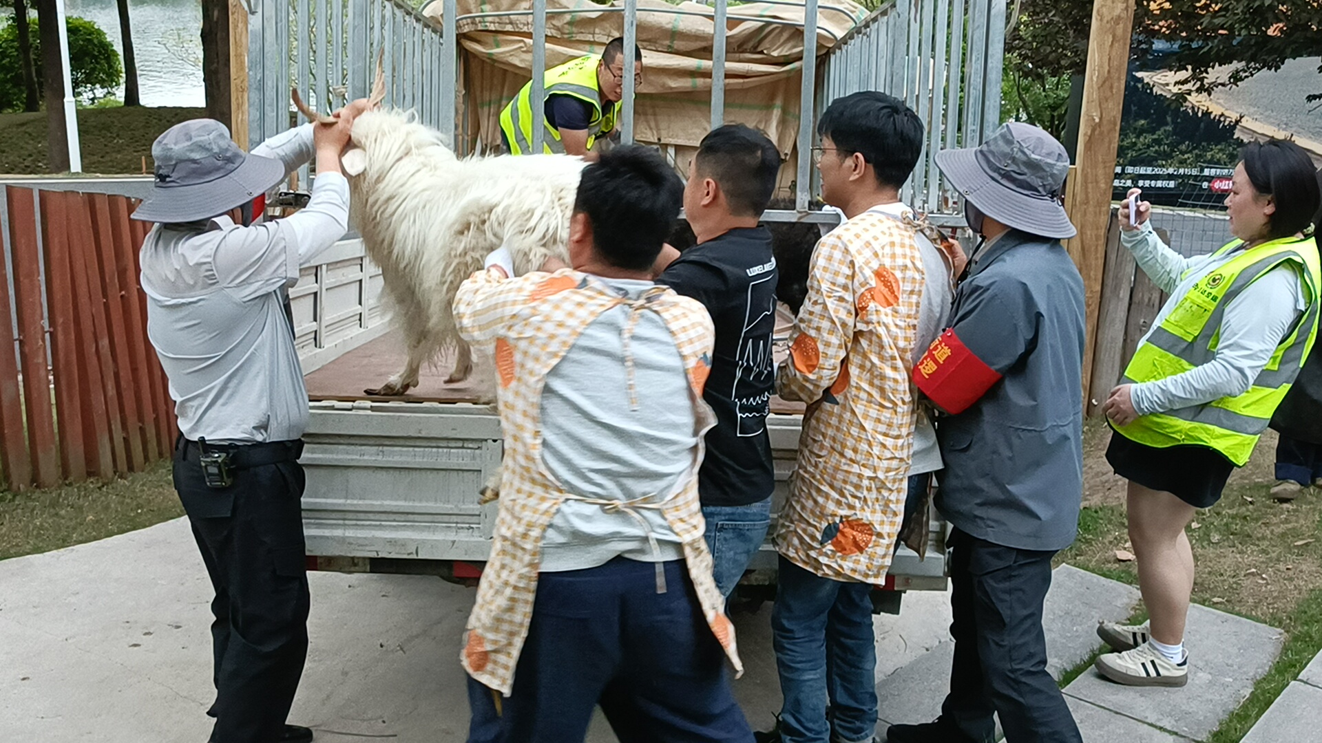 20250427a471993f66bc5645a0e307249bfe050a.jpg 20250427a471993f66bc5645a0e307249bfe050a.jpg